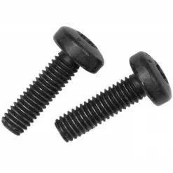 Bosch Set Schrauben Antriebseinheit M6x20, T30, 2 Stück